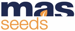 Mas Seed