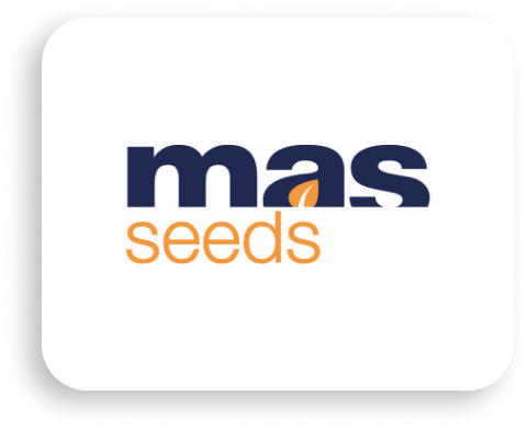 masseeds