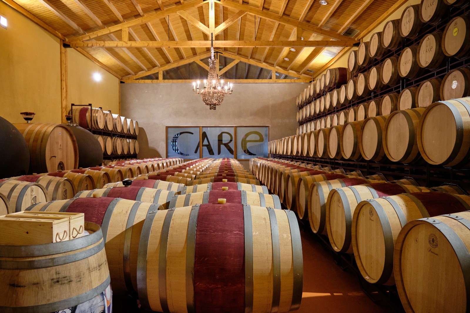 Imagen de BODEGAS CARE