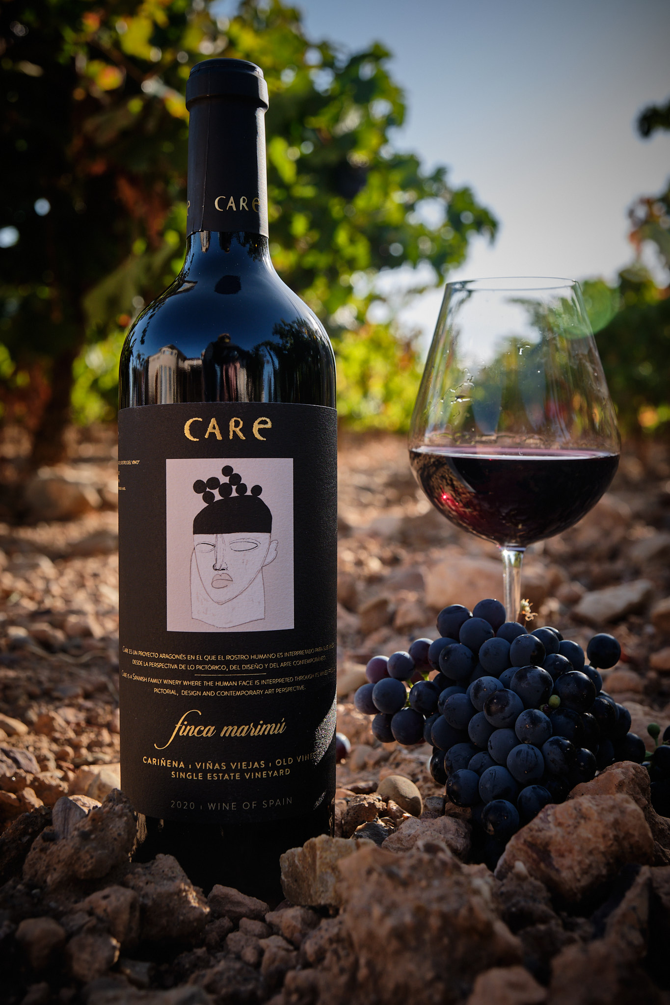 Imagen de BODEGAS CARE